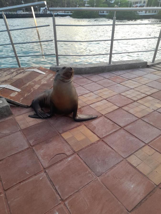 El Paraiso Puerto Ayora  Kültér fotó
